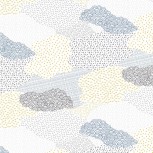 Quilt Backs